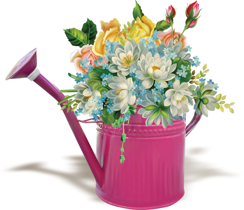 Image Du Blog Zezete2 - Flower Bouquet (800x687)