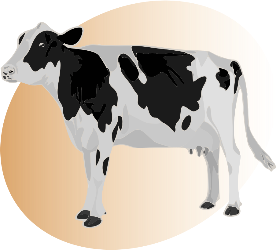 Open - Cow Hd (1000x900)