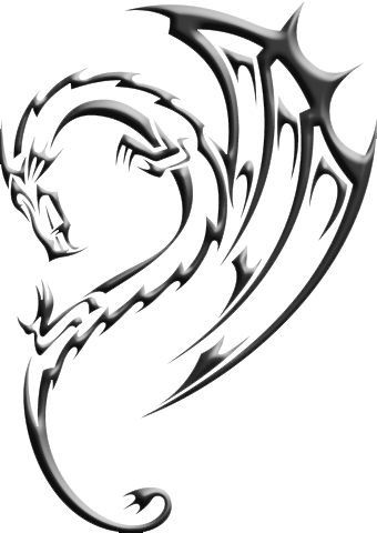 Void Dragon Mark - Henna Tattoo Designs Tribal (340x480)