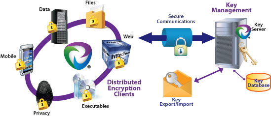 Introduction To Public Key Cryptography - Encryption Key Management System (613x258)