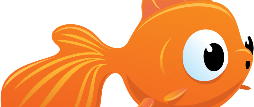 Goldfish 01 - Vbs Submerged 2016 (960x350)