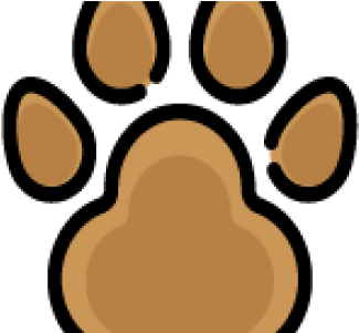 Animal And Birds Supplies - Animal And Birds Supplies (1100x300)