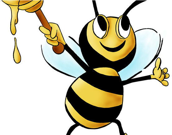 Year 5/6 Word List Week Of Spelling Lessons And Dictation - Honey Bee (580x434)