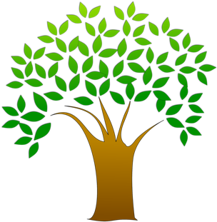 Plants Are Observable And Concrete Objects - Tree Clipart Transparent Background (429x322)