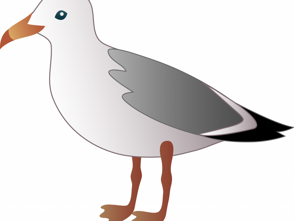 Download Sweet Seagull Images Clip Art - Download Sweet Seagull Images Clip Art (1024x768)