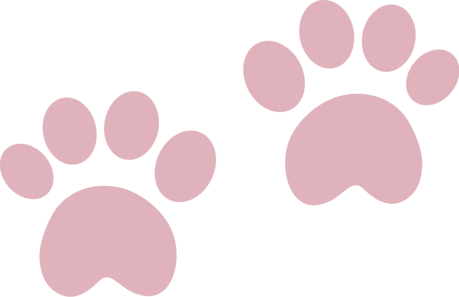 J3idwc0bhiouo - Huellas De Perro Rosa (900x583)