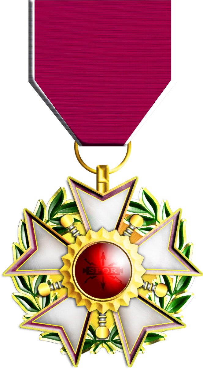 Legionnaire Of Merit Medal By 1wyrmshadow1 - Legion Of Merit Commander (664x1204)