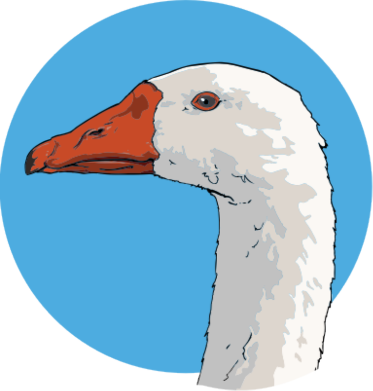 Goose Animal Clip Art Public Domain Free Image Cc Png - Goose From Charlotte's Web (764x800)