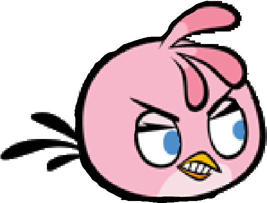 Boy Pink Bird 2 - Angry Birds (582x433)