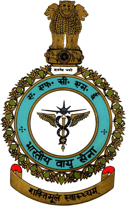 Indian Air Force Symbol Download - Indian Air Force Hd Wallpaper Download (540x720)