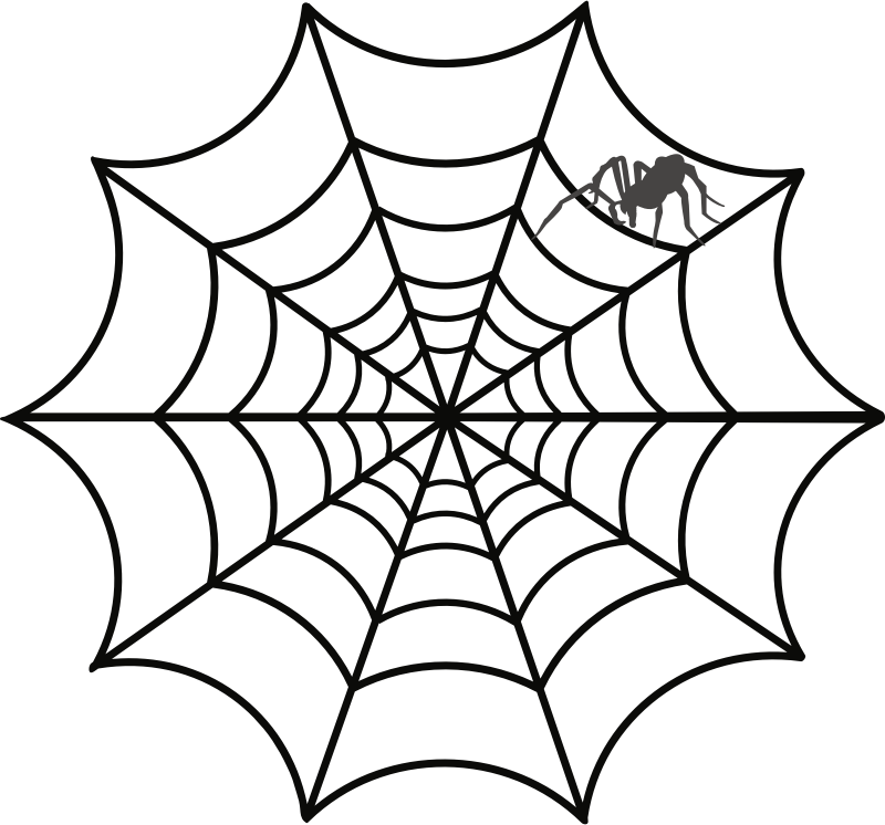 Spider Web Drawing Clip Art - Spider Web Cut Out (800x746)