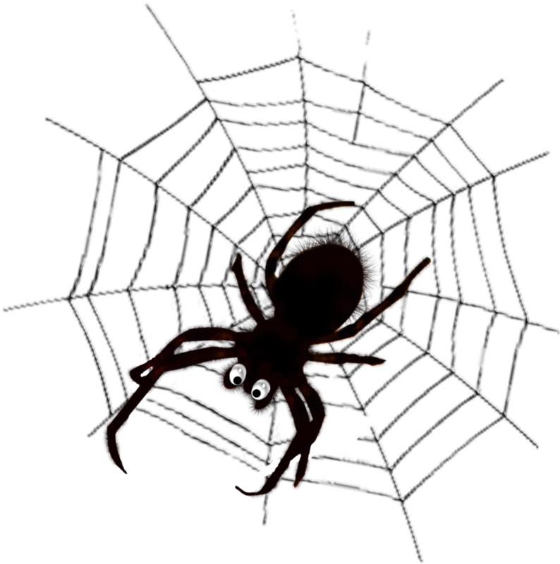 Spider Web Clip Art - Spider (794x800)