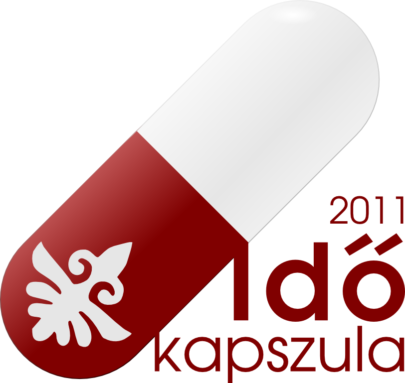 Time Capsule Project Logo By Patopal - Boys Before Flowers (812x769)