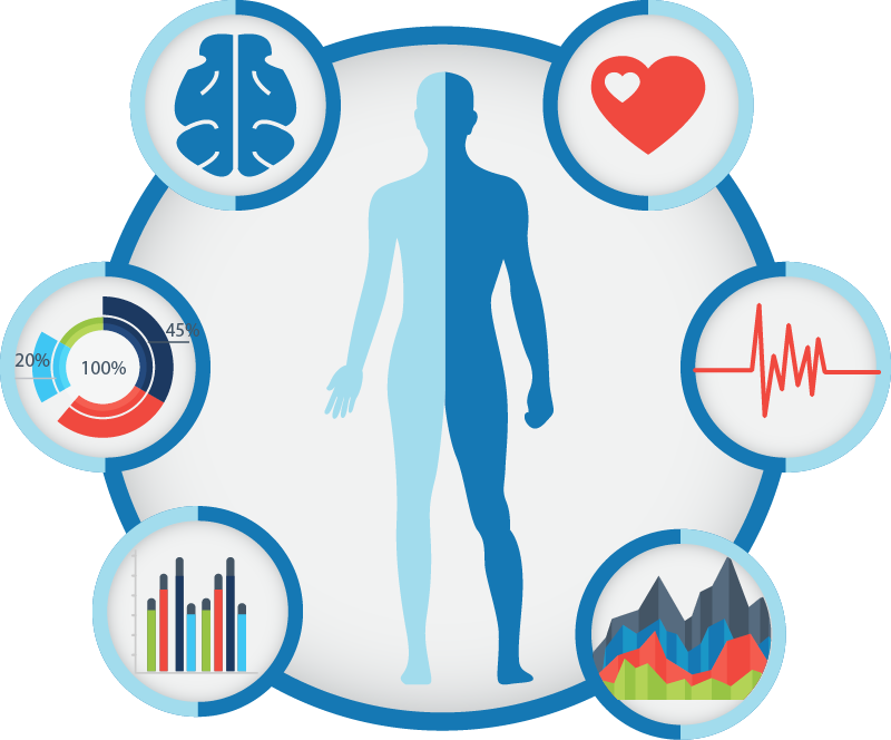 Minddep Draws On Brain And Body Based Scientific Assessment - Organ (800x664)