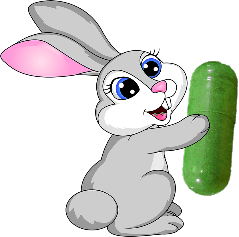 Size 000 Gel Capsules - Rabbit Cartoon (900x846)