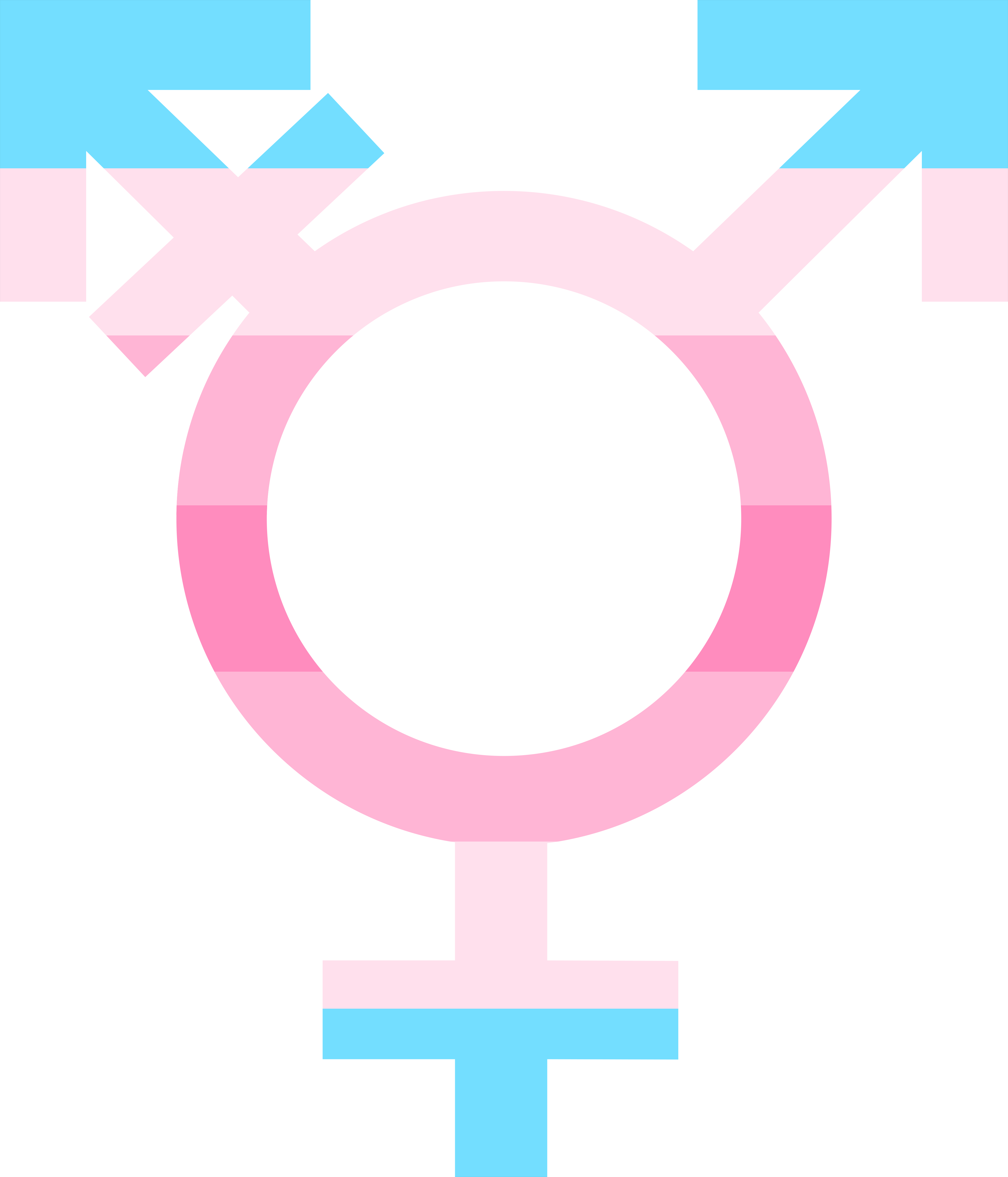 Transgender Symbol By Pride-flags - Transgender Day Of Remembrance 2016 (4283x5000)