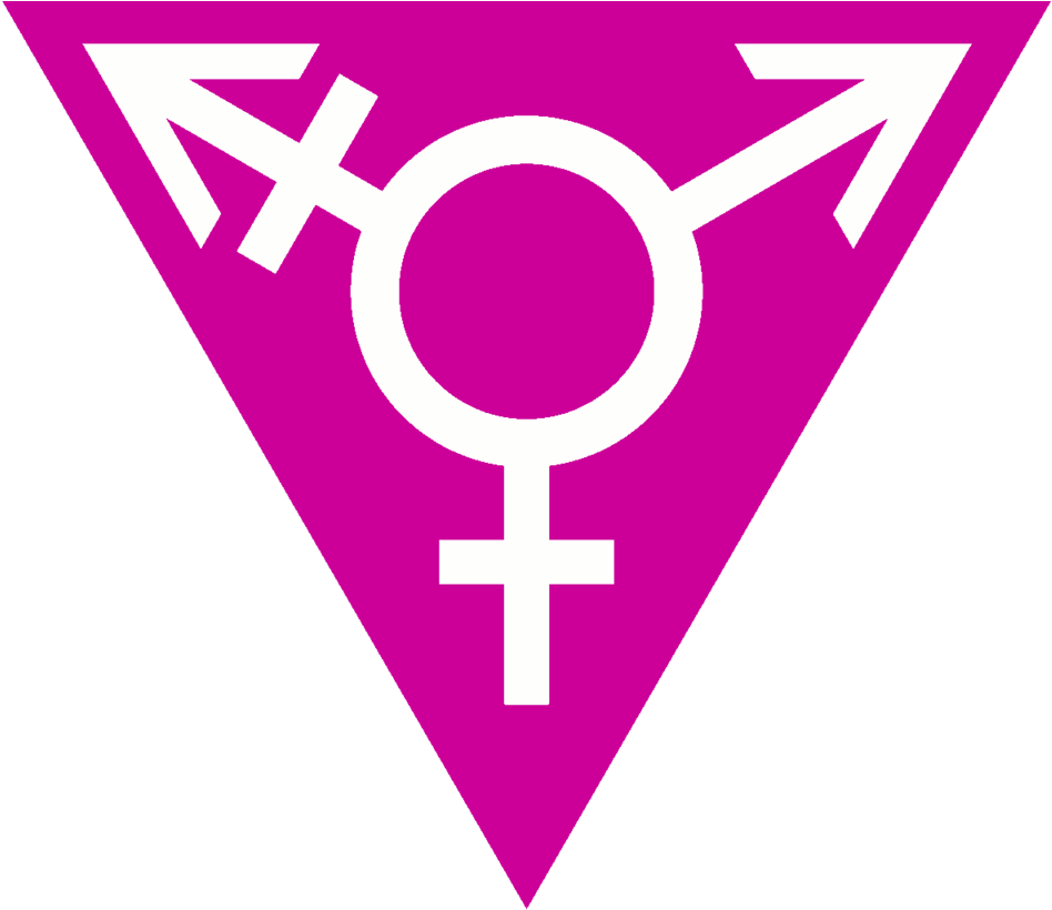 Magenta Transgender Triangle-wide - Transgender Triangle Png (1280x819)