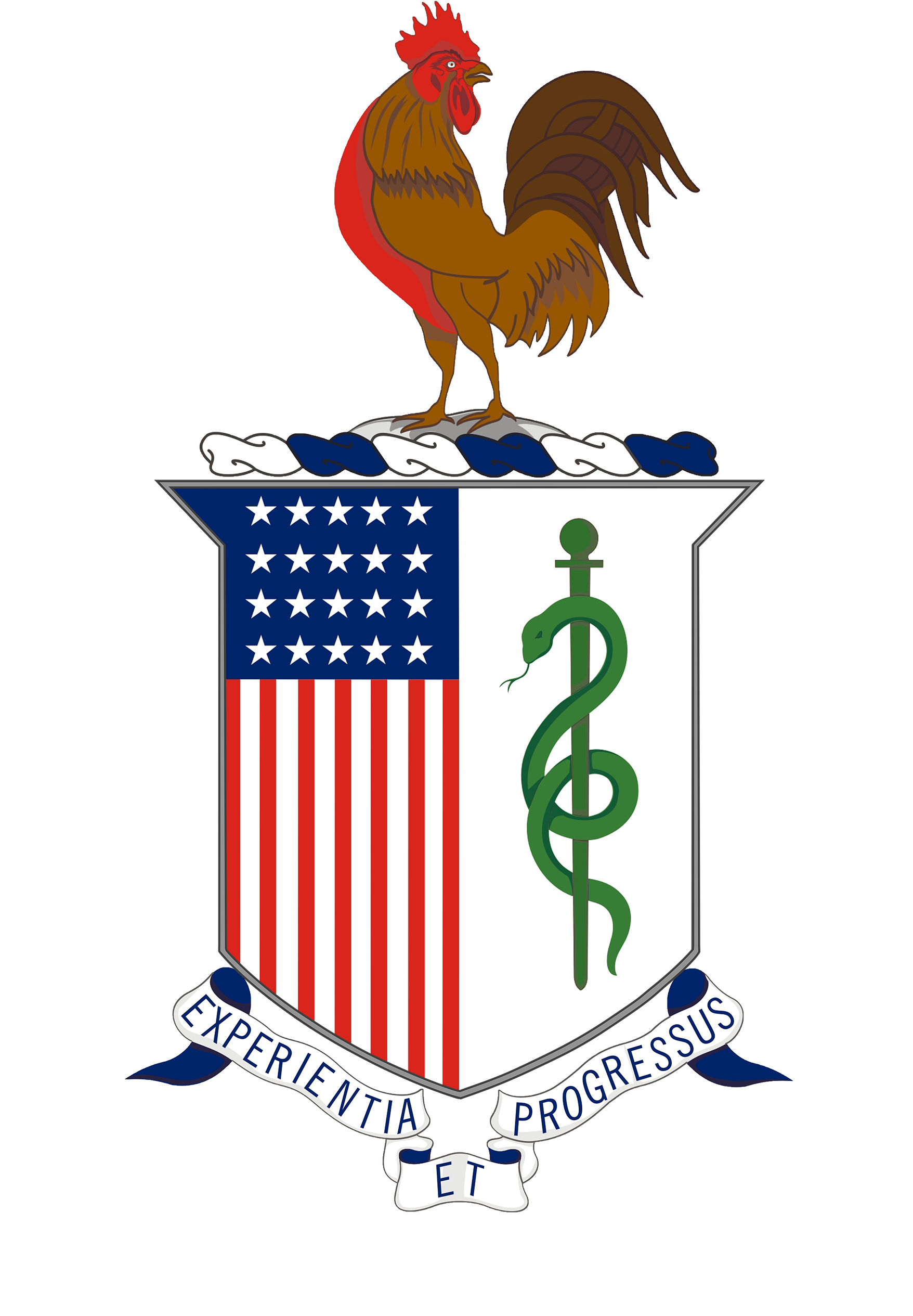 High Definition Image Of Coat Of Arms - Amedd (1801x2655)