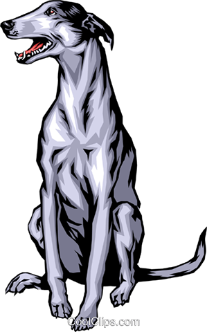 Greyhound Royalty Free Vector Clip Art Illustration - Greyhound Dog Clipart (434x700)