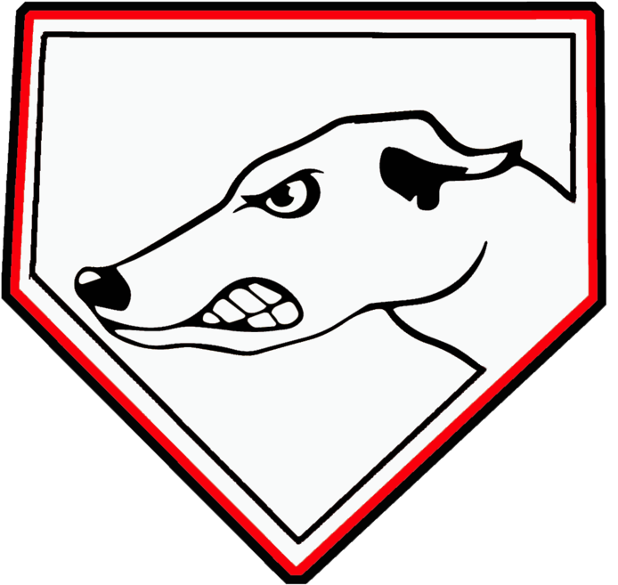The Hubbard Greyhounds Vs - Polish Greyhound (1098x1080)