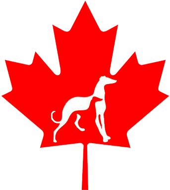 Canada Flag Maple Leaf (358x398)