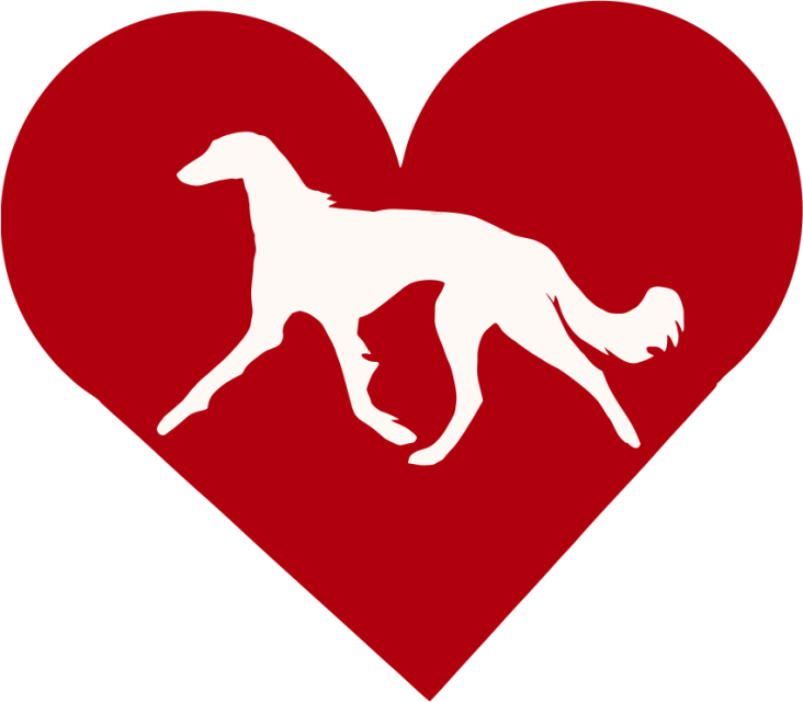 Saluki In Gait In Heart Outdoor Vinyl Silhouette - Bixi Logo Png (732x640)