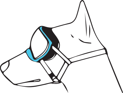 Training Tips - Rex Specs Dog Goggles - Blue - Original - Smoke Lens (474x357)