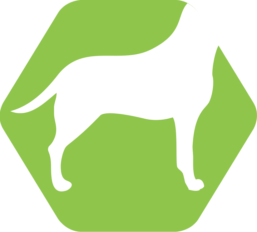 Itchy Red Bumps And Inflammation In Hairless Areas - Dog Licks (823x743)