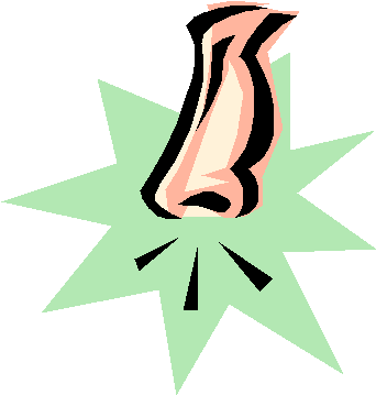 Breathing Clipart - Nose Clipart (344x365)