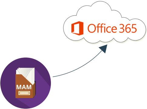 Mam To Office 365 Email Archive Migration - Office 365 (485x358)