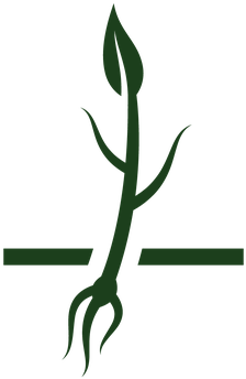 Growth Life Cycle Icon Set - Life Cycle Plant Icons (364x399)