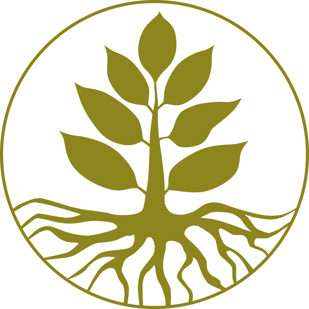 Leaf life. Дерево символ. Логотип дерево. Древо жизни листья. Древо жизни символ.