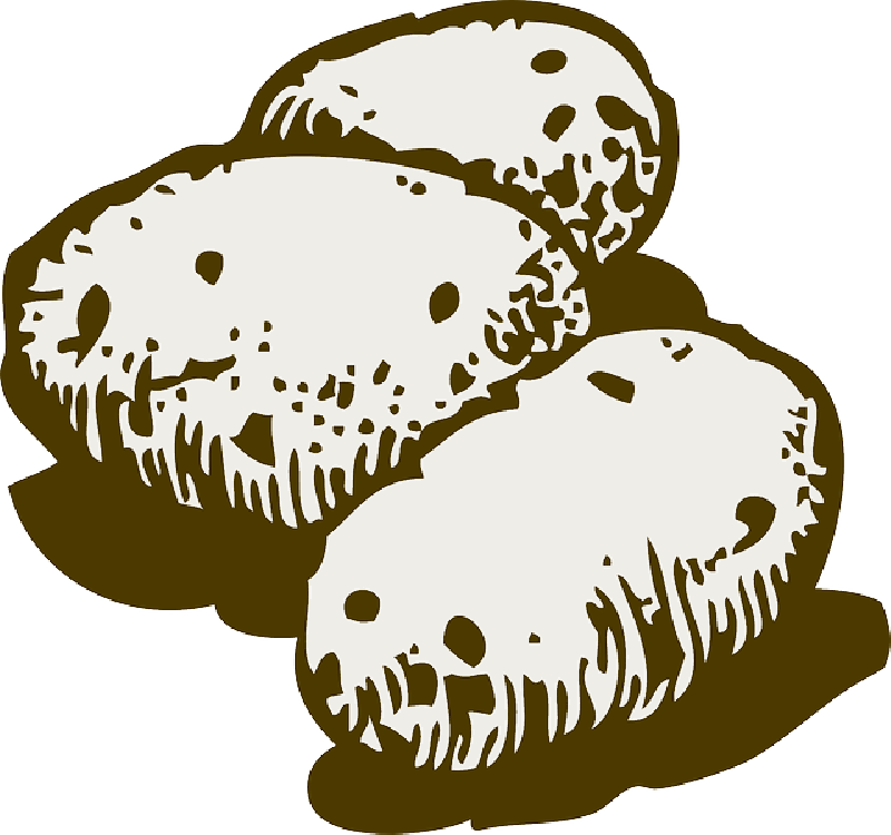 Three, Food, Drawing, Plants, Roots, Potato, White - Potato Clipart Black And White (800x750)