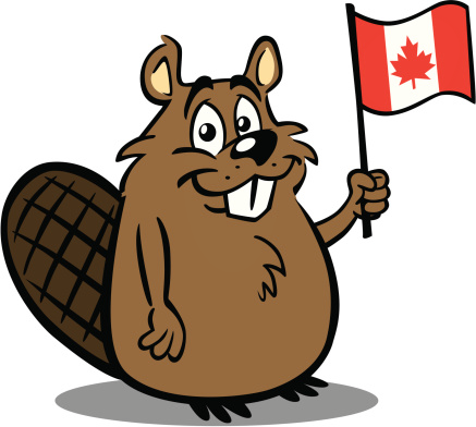 Big Brown Beaver - Cartoon Beaver (437x392)