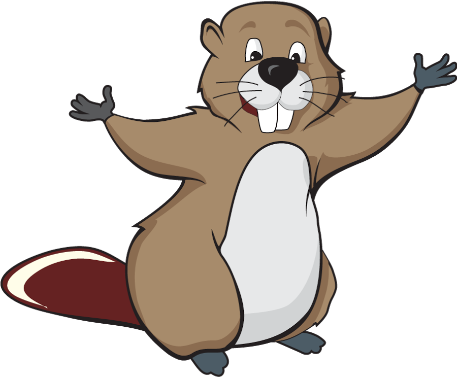 Beaver Png - Beaver Cartoon Drawing (900x900)