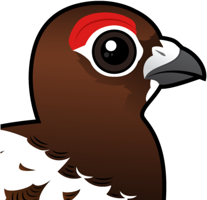 About The Willow Ptarmigan - Willow Ptarmigan Cartoon (440x440)
