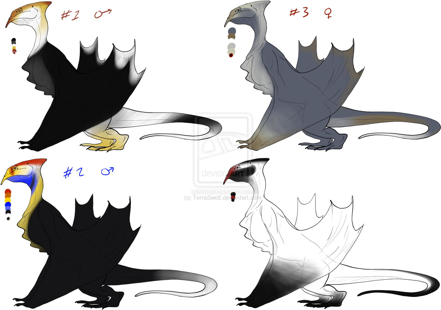 Original Species Adopts By Terraswolf-d6as5my - Bald Eagle (1600x1072)