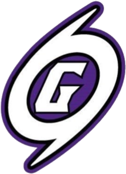 Gainesville Logo - Gainesville High School Logo (720x720)