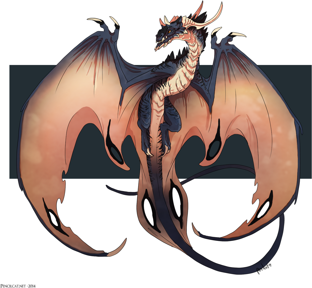 Fantasy Art - Cool Wyvern Designs (1280x1178)