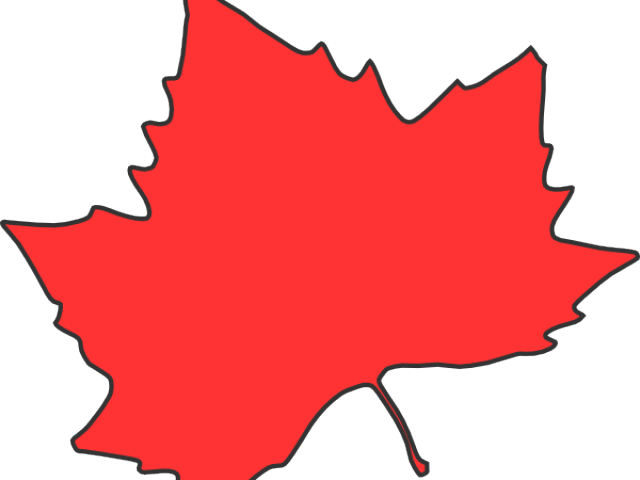 Maple Leaf Clipart - Clip Art (640x480)