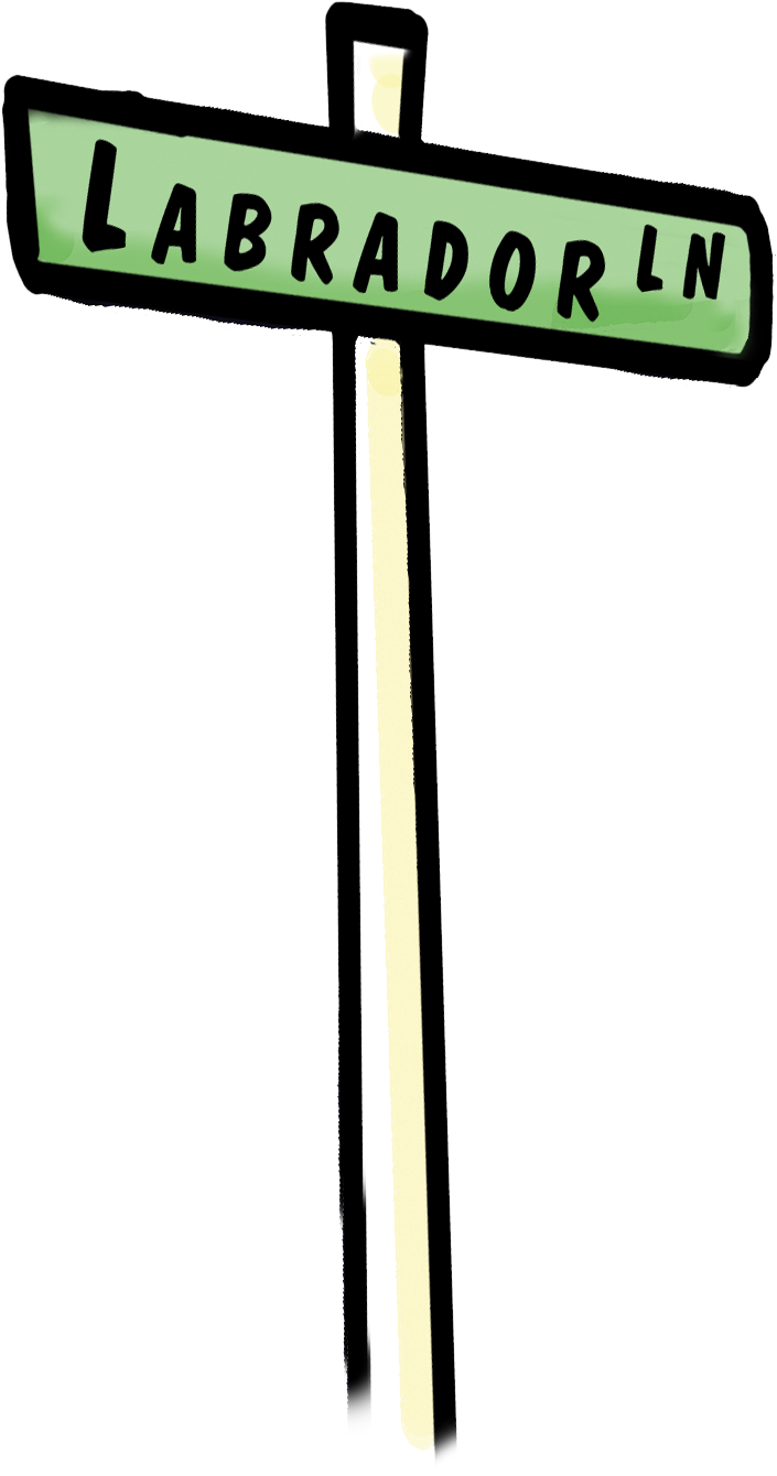 Labrador Lane Is Where Evie Lives - Sign (845x1680)