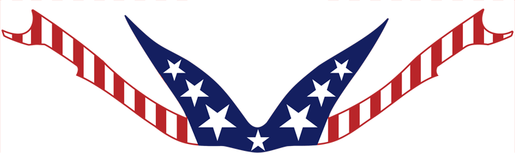 Bt - Flag Of The United States (750x229)