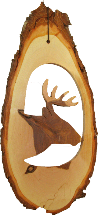 Mo-w06 White Tail Deer - Elk (321x700)