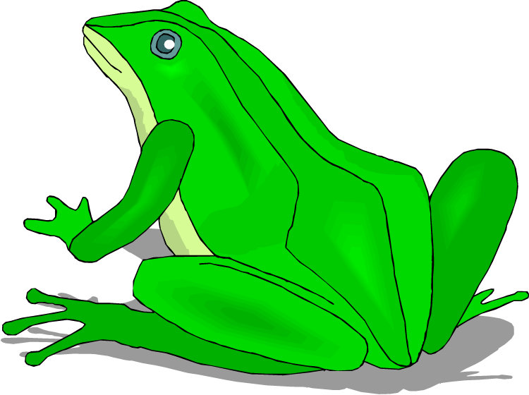 Bright Green Frog - Bufo (750x560)