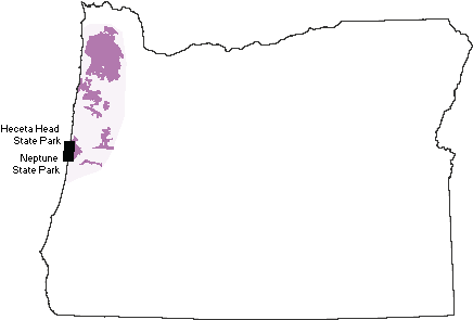 Coast Range Volcanoes - High Cascade Oregon (500x294)