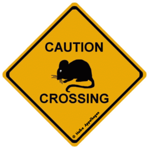 Caution Mouse Vorschau ] - Bike And Pedestrian Safety (480x482)