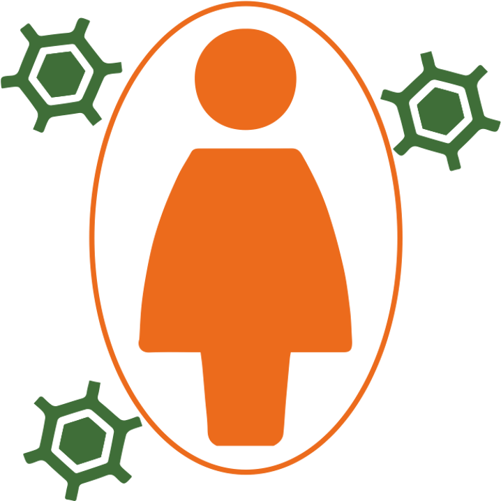 19 - Immune System (960x960)