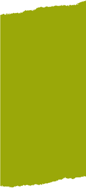 Diese Tour Ist Lt - Pantone 390 To Cmyk (300x684)