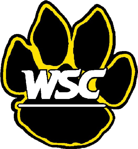 Wayne State Baseball Scores, Results, Schedule, Roster - Wayne State College Football (574x574)