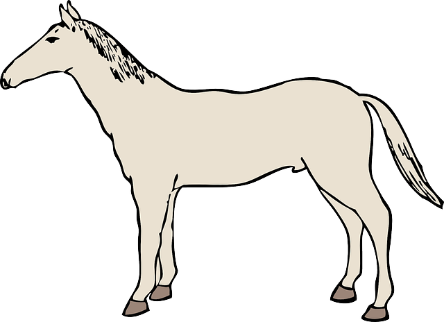 Mustang Clip Art - White Horse Clipart Transparent (640x464)